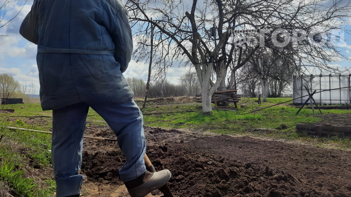 Не копай, а поливай: перекись водорода разрыхлит даже самую плотную глину — земля как пух