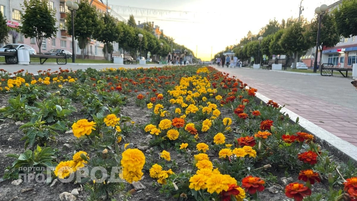 Май расцветет теплом и красками на днях в Марий Эл