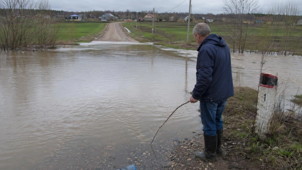 Дачи ушли под воду: второе половодье в мае — шашлыки отменяются