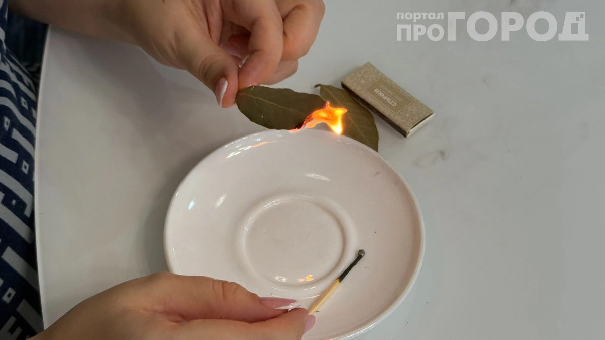 Поджигаю лавровый лист прямо в комнате: 4 целебных свойства, о которых никто не знает, а зря