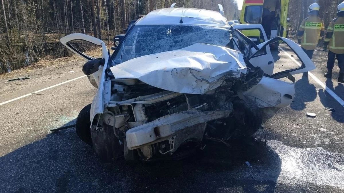 В Килемарском районе на 318 километре  автодороги “Поветлужье” в ДТП погиб водитель 