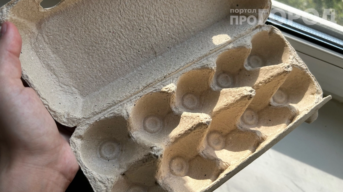 Не зря копила яичные лотки всю зиму: они спасут рассаду, урожай и порядок на даче — 27 поделок своими руками