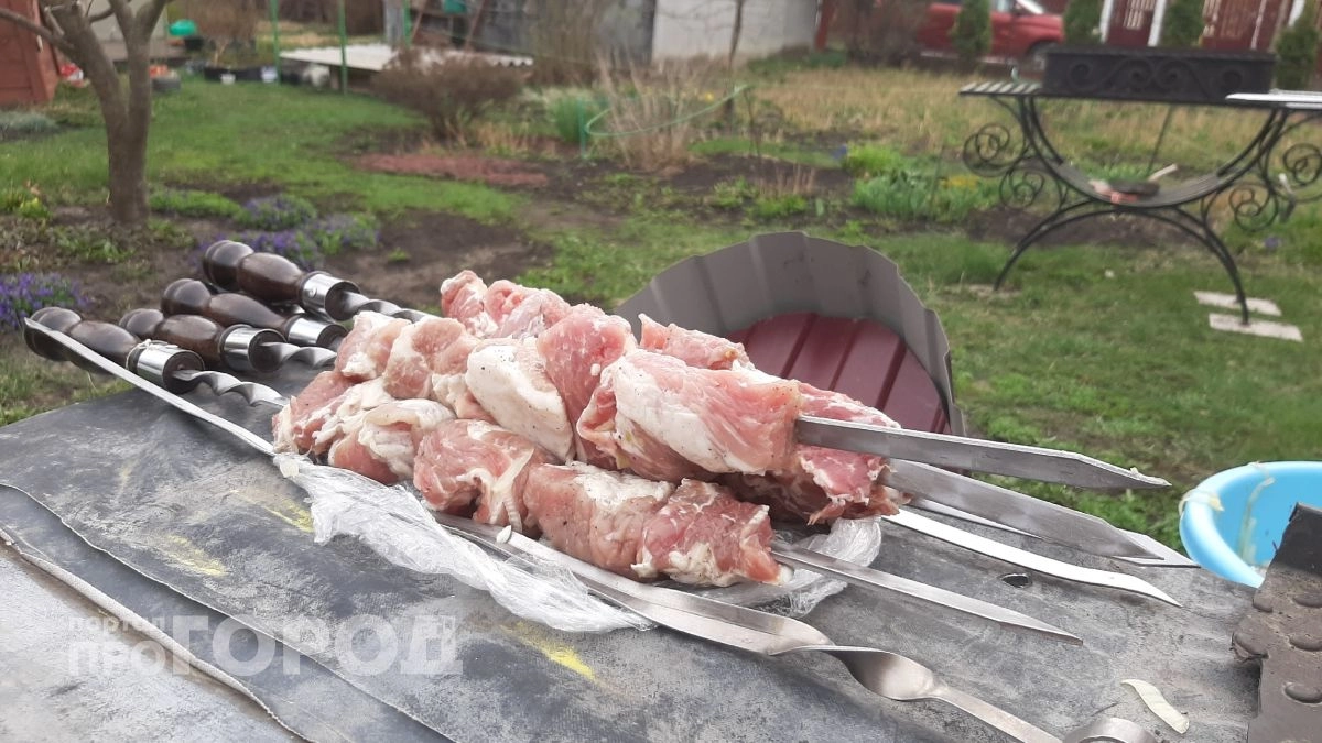 Не курица и тем более не свинина: самое полезное мясо для шашлыка назвали ученые