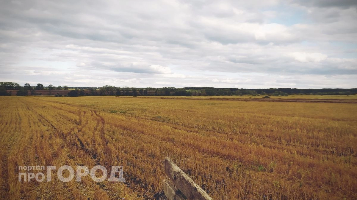 БПЛА будут ухаживать за урожайными культурами Марий Эл