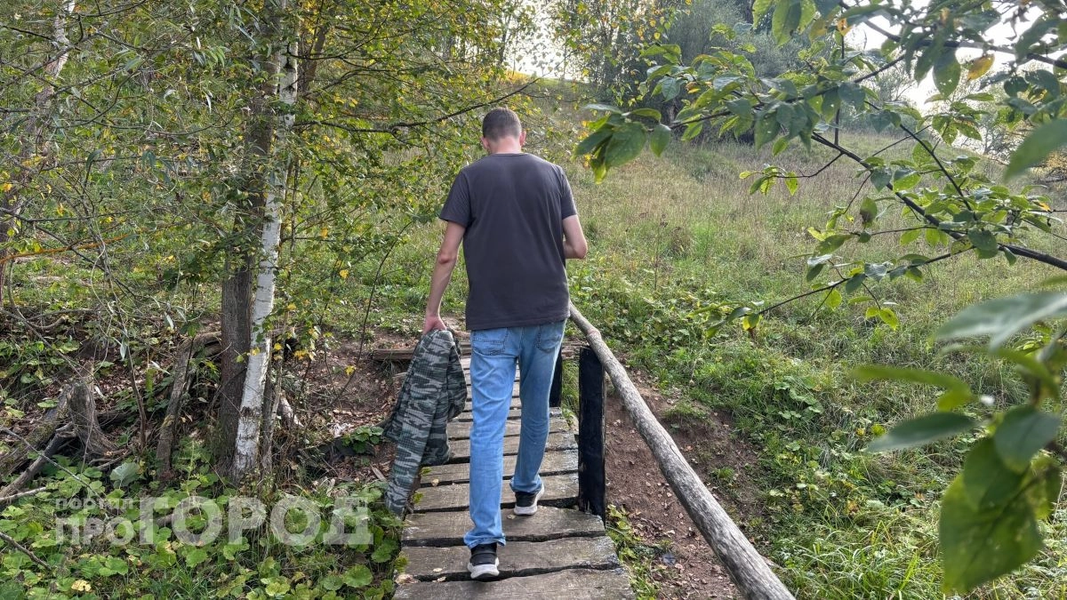Житель Звениговского района купил несуществующую машину в интернете за 600 тысяч