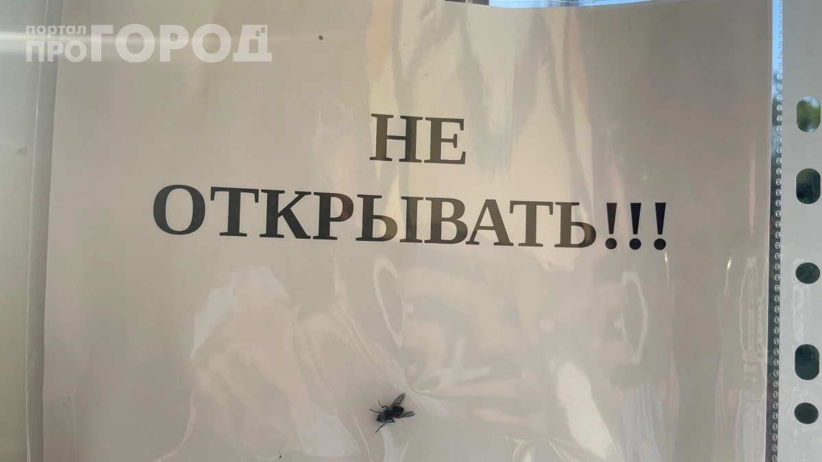 Москитная сетка за 300 рублей на все окна — и никакого сверления: липучка отваливается через сезон, а этот метод работает годами
