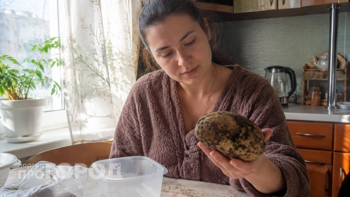 На грядках больше не убиваюсь днями напролет: новый способ выращивания картошки без земли - быстро, просто, и урожай вкуснейший