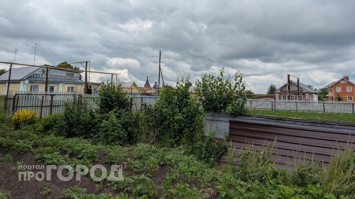 Сажать картофель в мае можно только в эти дни: список благоприятных дат