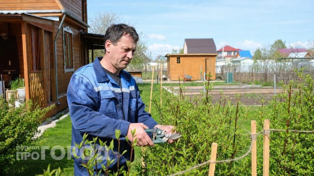 Забор за 500 рублей: мастер показал метод, как отгородиться от соседей без дорогих материалов