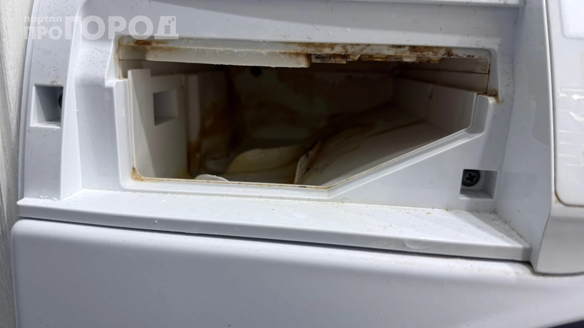 Чёрная грязь в стиральной машине атакует: откуда берётся запах и как убрать его за 5 минут