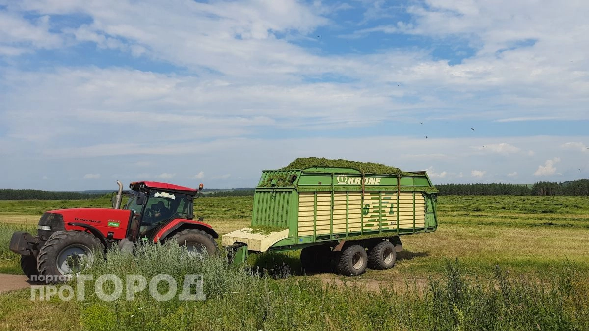 Опасное зерно нашли на предприятии Марий Эл