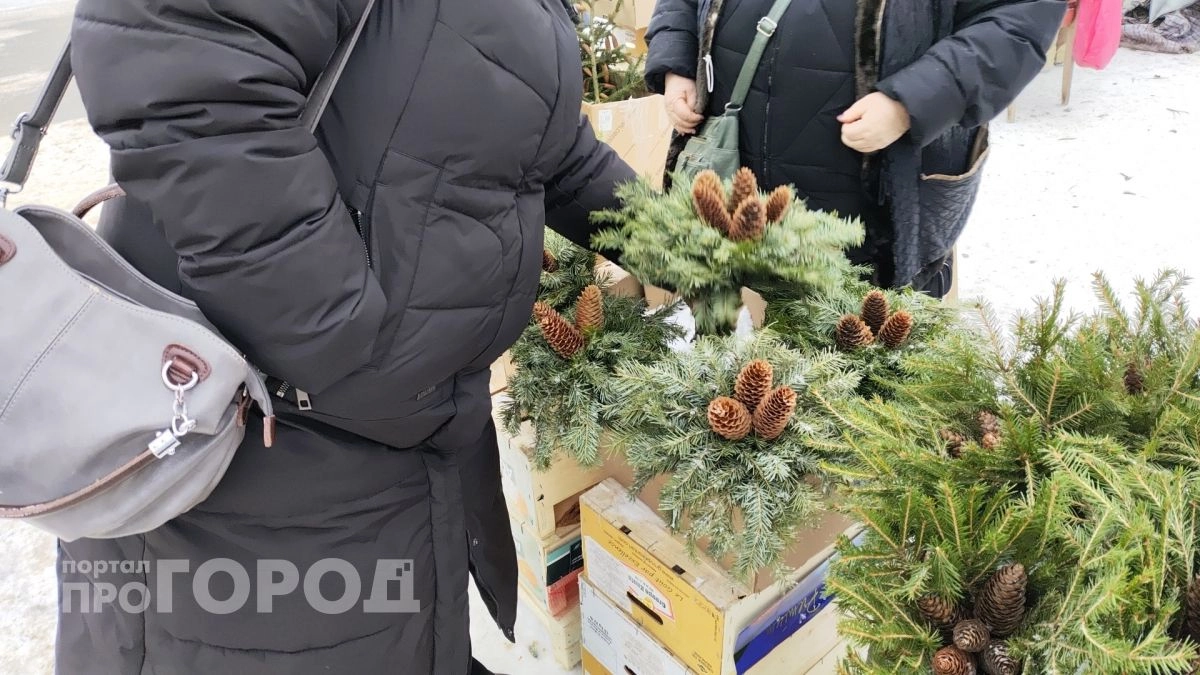 Новогодние каникулы сократят безвозвратно: как теперь будем отдыхать