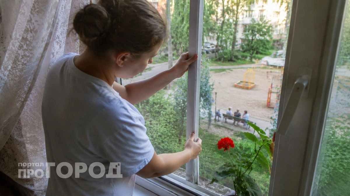 Очищает воздух и снимает стресс: лучший цветок, который должен быть в каждом доме