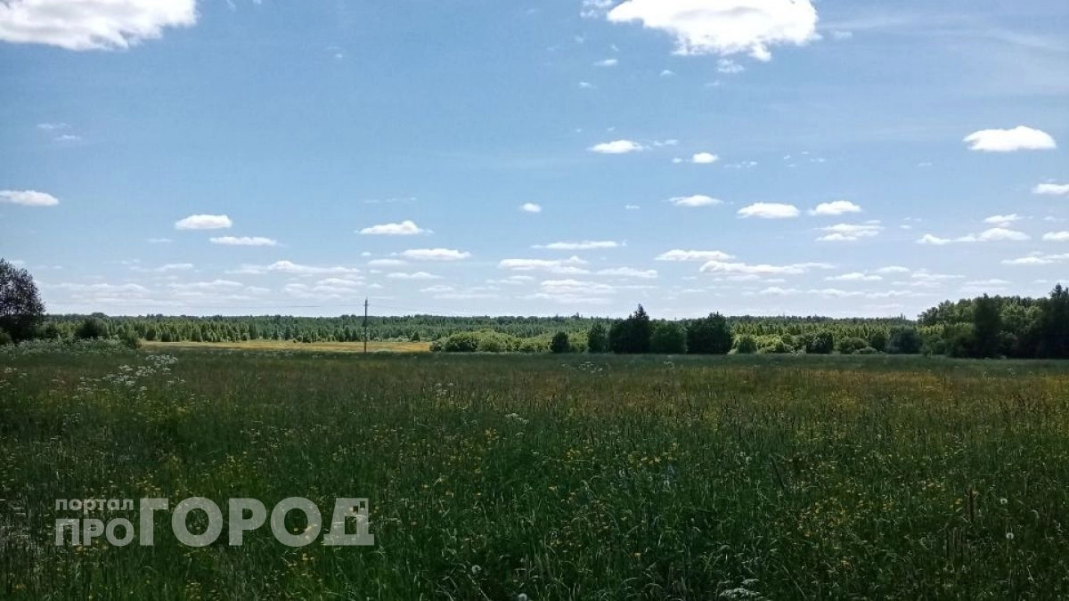 Житель Звениговского района попал под суд из-за сорняков