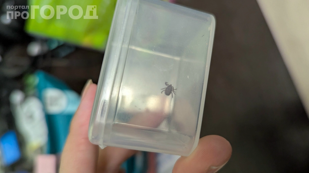 Каких людей клещи кусают чаще: 5 категорий, которые становятся их мишенью — проверьте, в списке ли вы