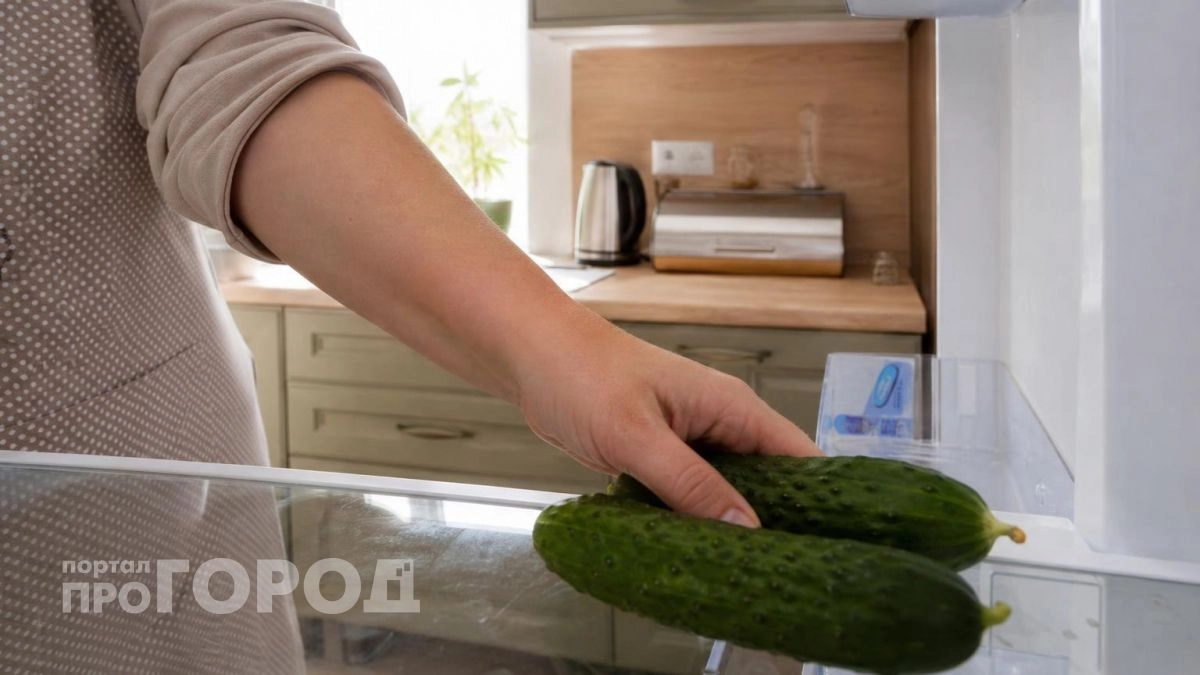 Можно ли хранить огурцы в холодильнике: запомните раз и навсегда