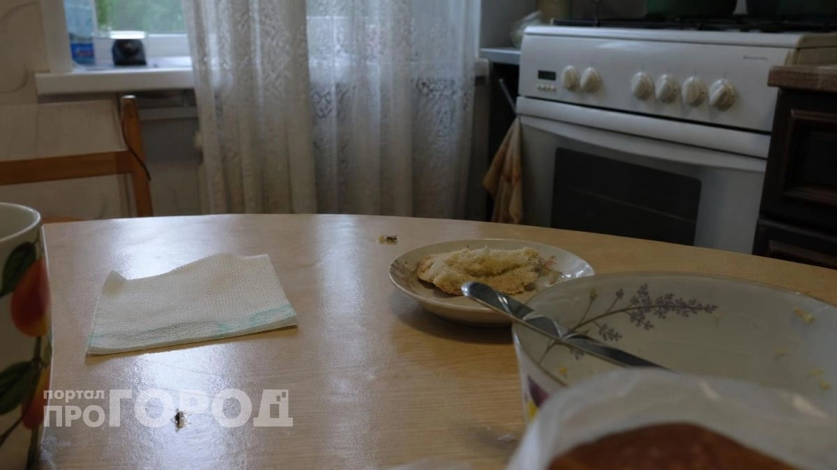 Мухи ненавидят этот запах: никаких дорогих фумигаторов - а дом чистый без единого насекомого