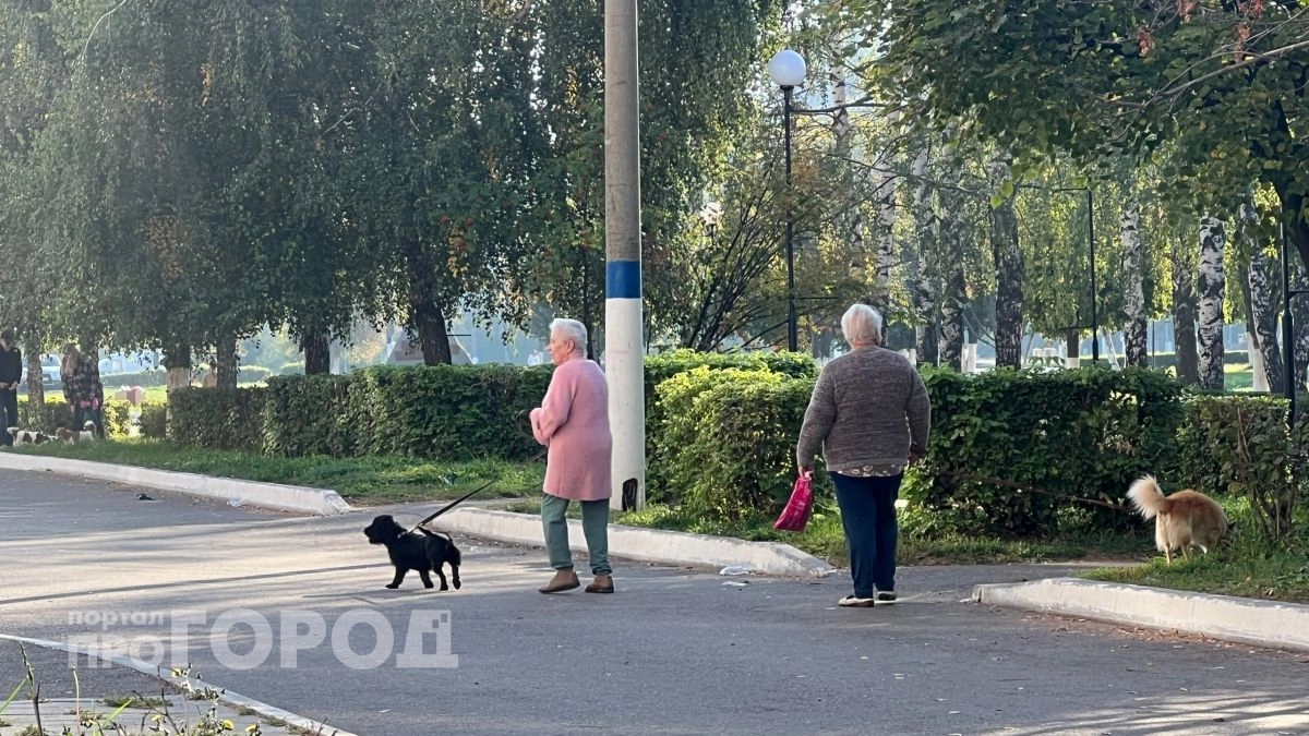 Решение принято окончательно: пенсий в июне не будет из-за ситуации в стране