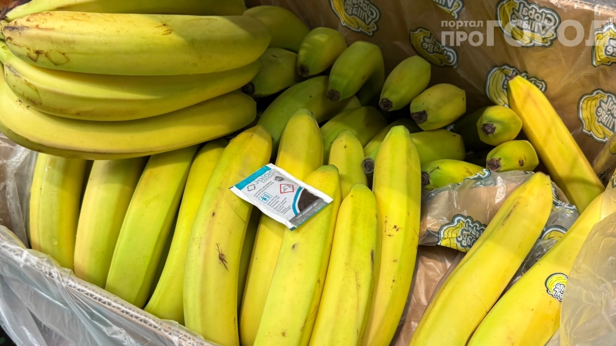 Забираю эти пакетики с прилавка вслед за продавцами «Магнита»: вот зачем они нужны — сокровище для садовода