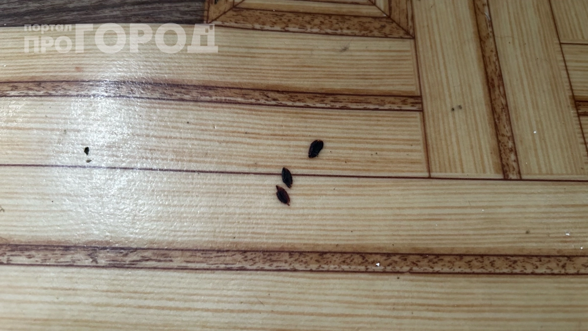Не спешите менять линолеум: способ замаскировать прожжённое пятно так, что никто и не заметит
