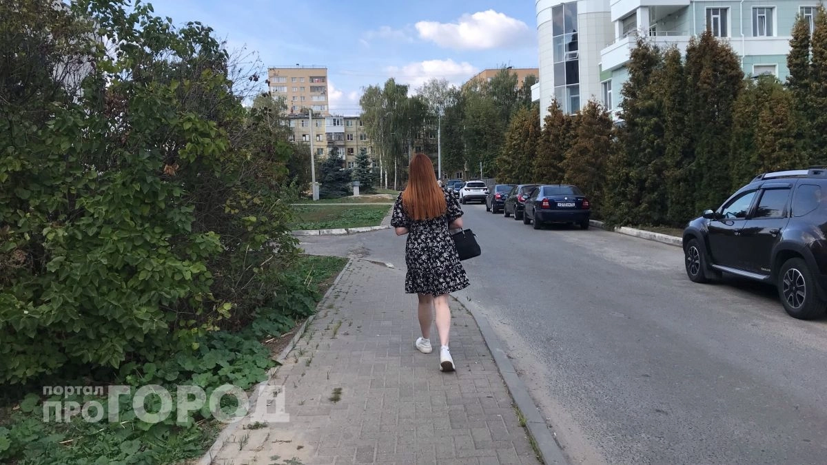 В Моркинском районе женщина перешла по ссылке от знакомой и теперь должна микрозаймам деньги