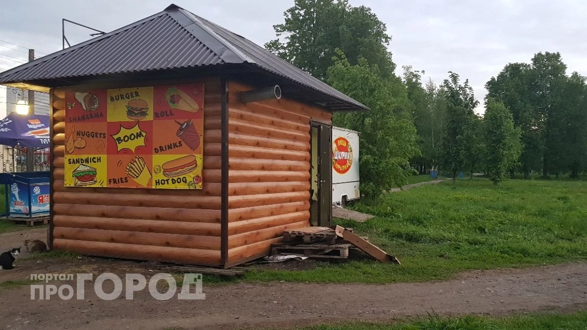 В Марий Эл точки продажи шаурмы и шашлыков готовят еду из опасного мяса