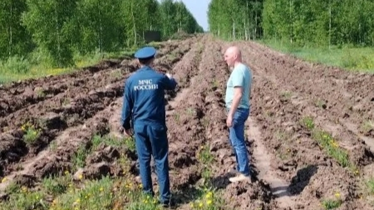 Опасная погода наступила: полосы для защиты от огня копают в Йошкар-Оле