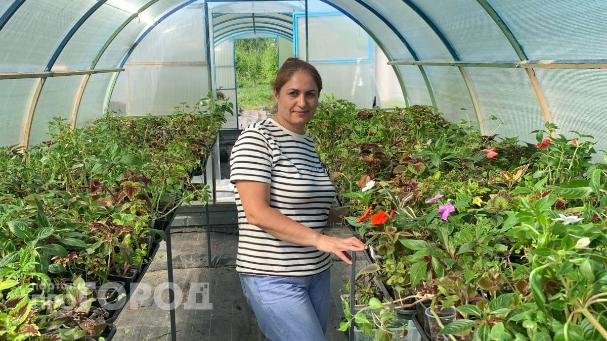 Йошкаролинка с нуля открыла бизнес по продаже помидоров, клубники и цветов:"Чтобы начать, не нужно дорогое оборудование"