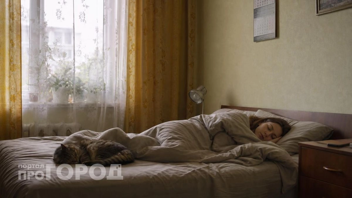 Полезно ли на самом деле спать рядом с кошкой - это должен знать каждый хозяин