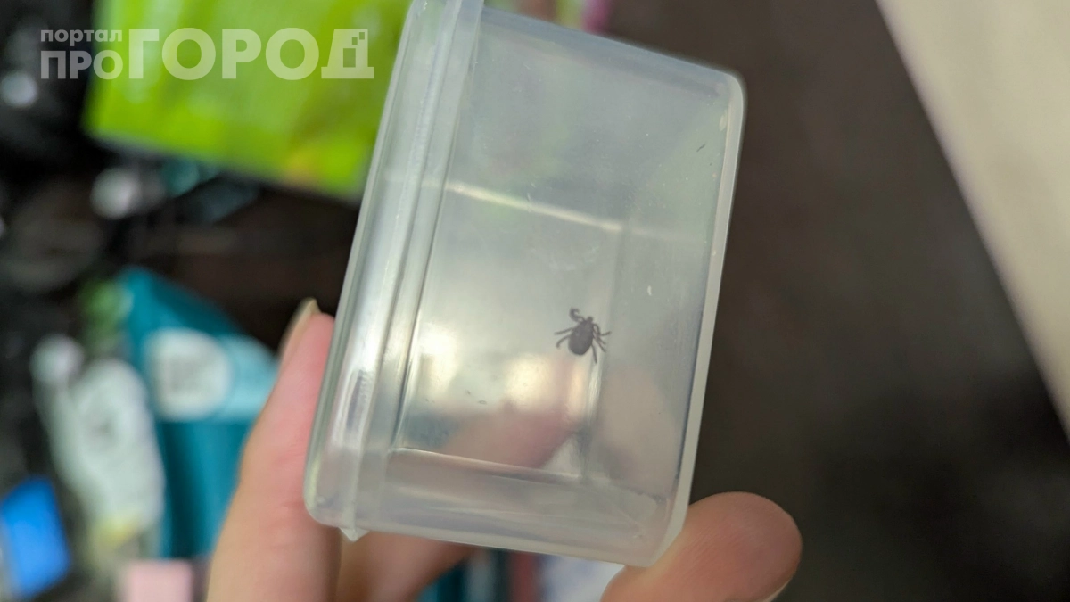 Клещи не подойдут даже на метр: 2 капли на кроссовки — и можно смело идти в лес
