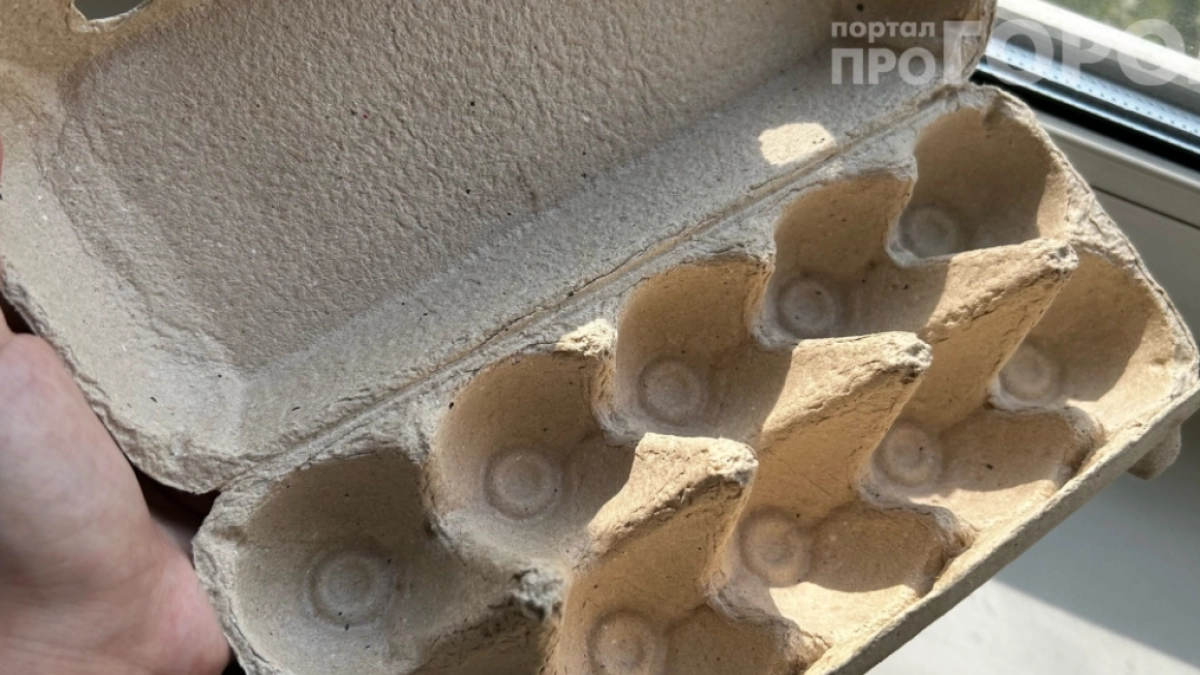 Не зря копила яичные лотки всю зиму: они заменят половину дачных инструментов — 27 лайфхаков