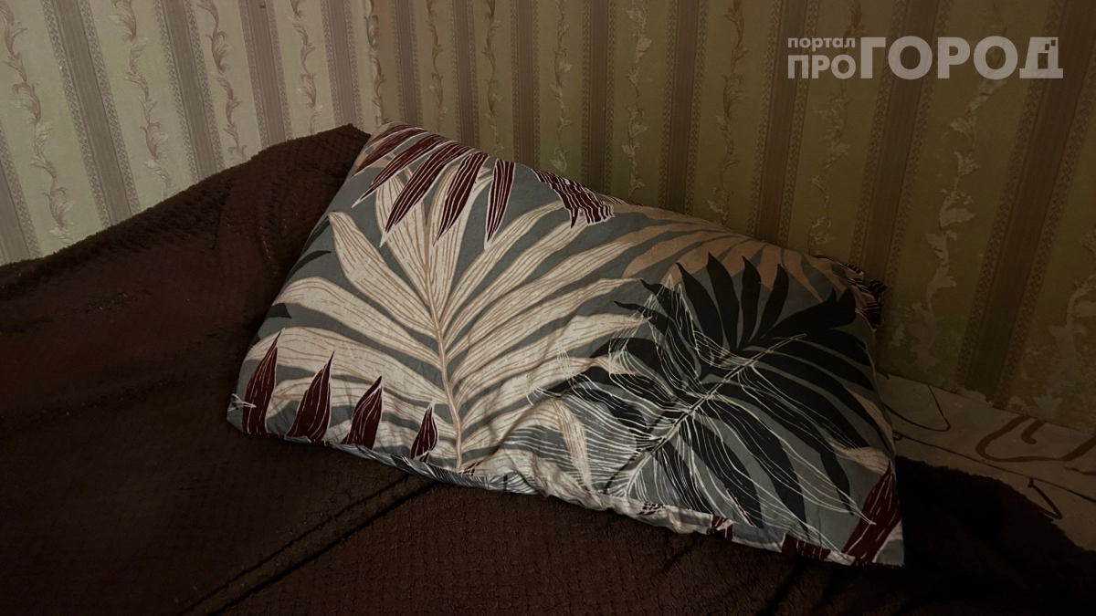 Замызганная подушка как новая за одну стирку: вот как сделать ее свежей 