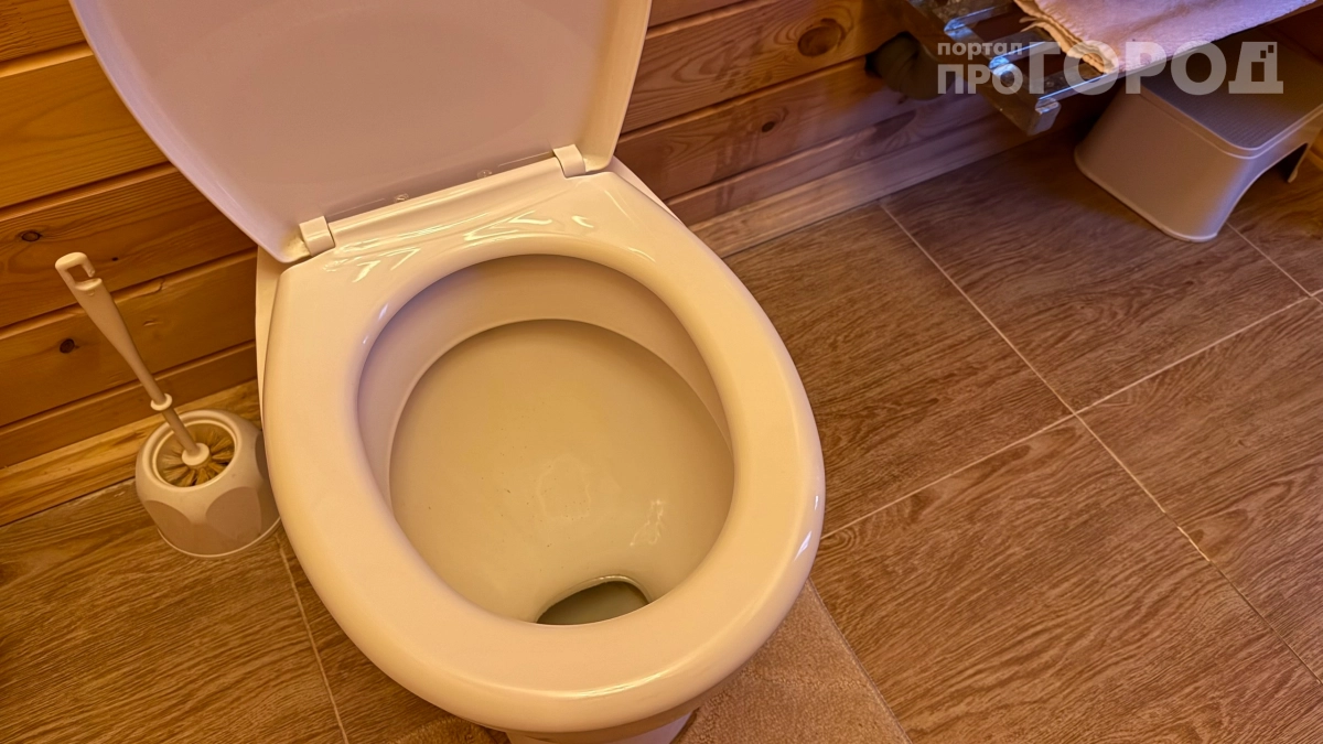 Муж не верил, пока не понюхал: как добиться ресторанного аромата в туалете за копейки