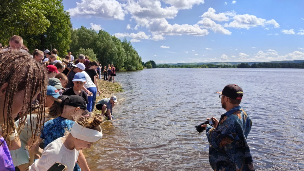 3 тысячи мальков сазана будут расти в Волге у Волжска