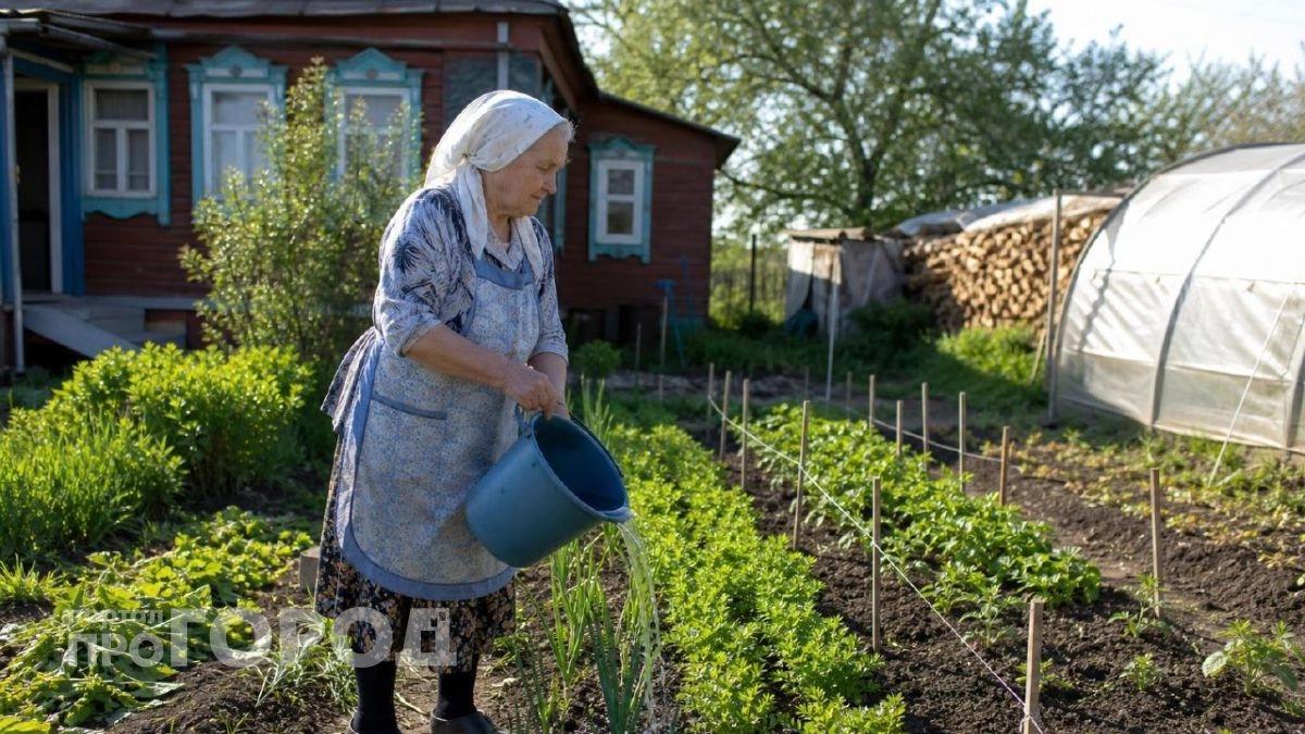 Один стакан в ведро - и сорняки упадут замертво: простейшее средство борьбы