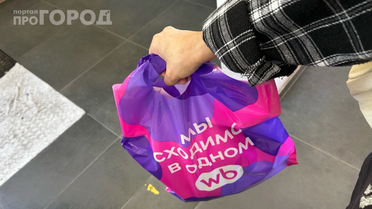 «Дешёвые» маркетплейсы больше не те: почему россияне массово отказываются от Wildberries и Ozon