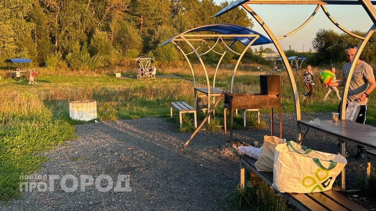 Куда йошкаролинцам поехать на пикник этим летом: список направлений и сколько это стоит