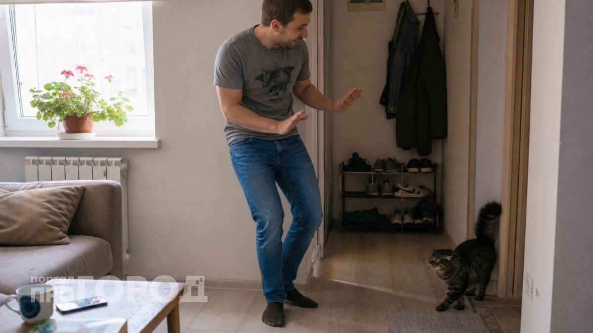 Это не месть и не дурной характер: почему кошка внезапно нападает на хозяина