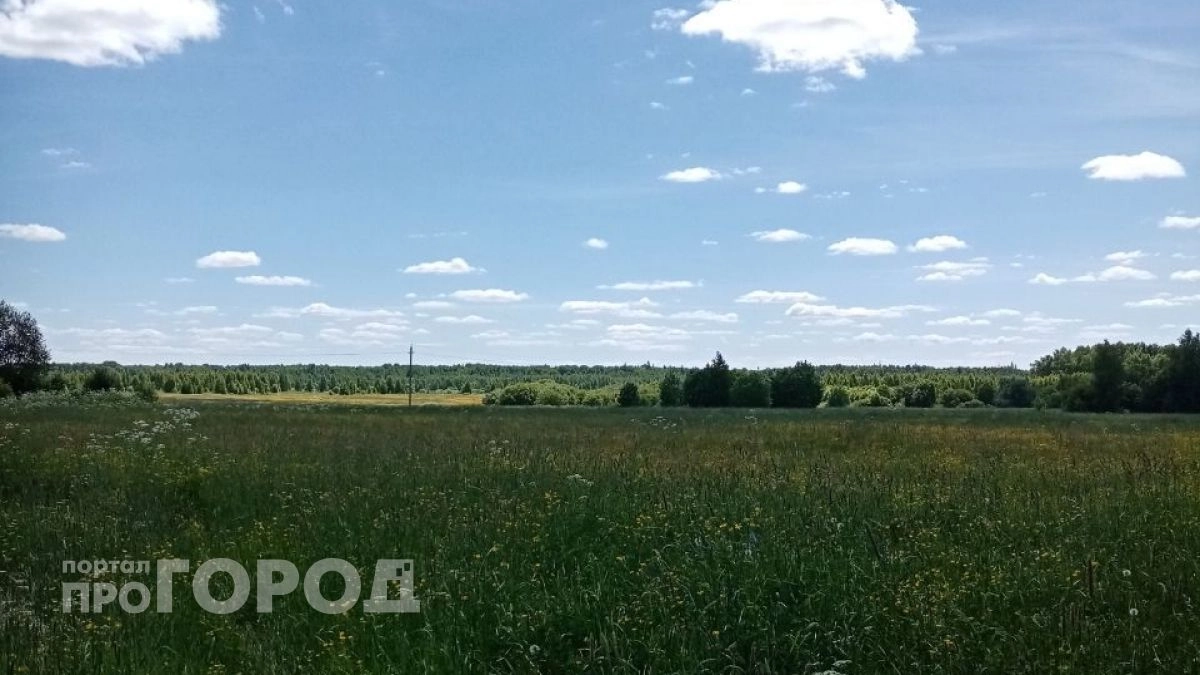 С плодородных земель Волжского района убрали незаконную свалку