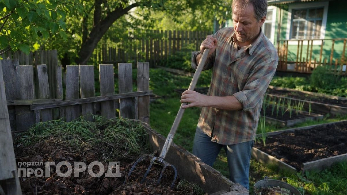 Как собрать компостную яму, чтобы получить на выходе стопроцентный чернозем
