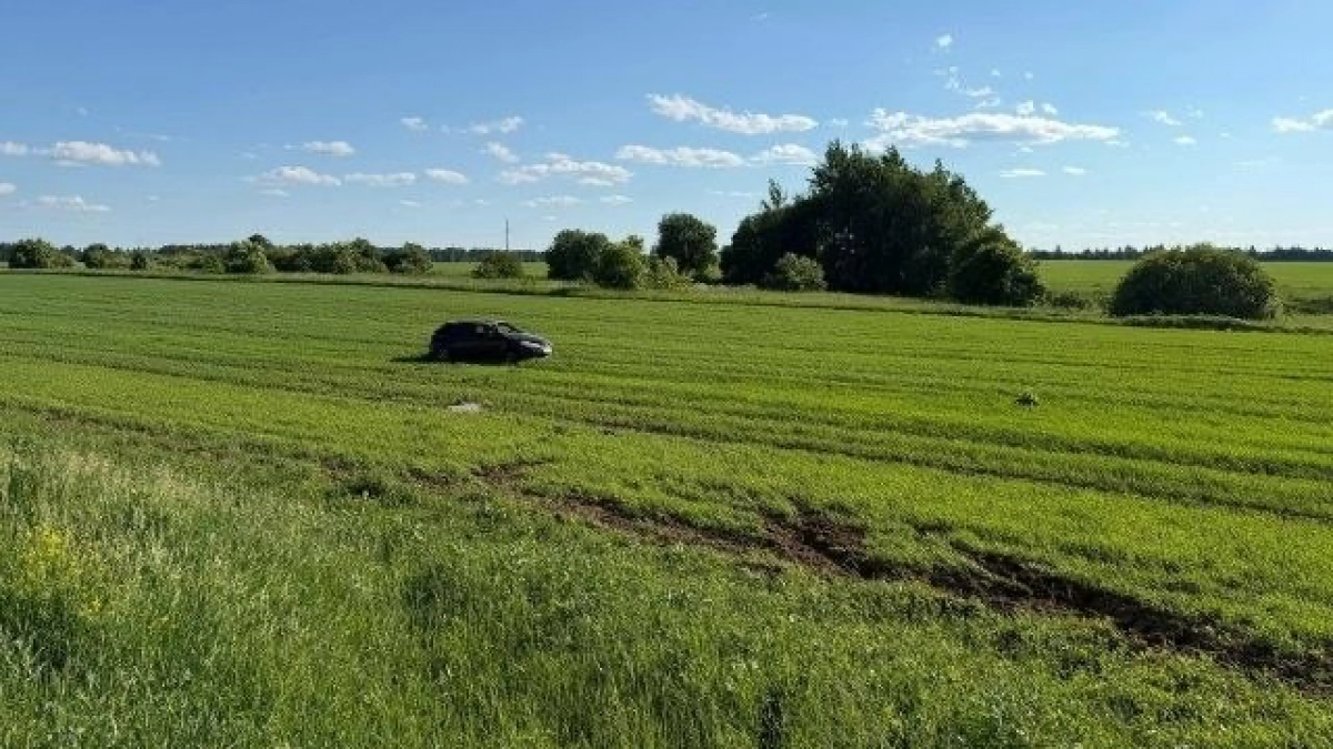 Вылетела на скорости в кювет с двумя младенцами в машине: как произошло ДТП в Медведевском районе