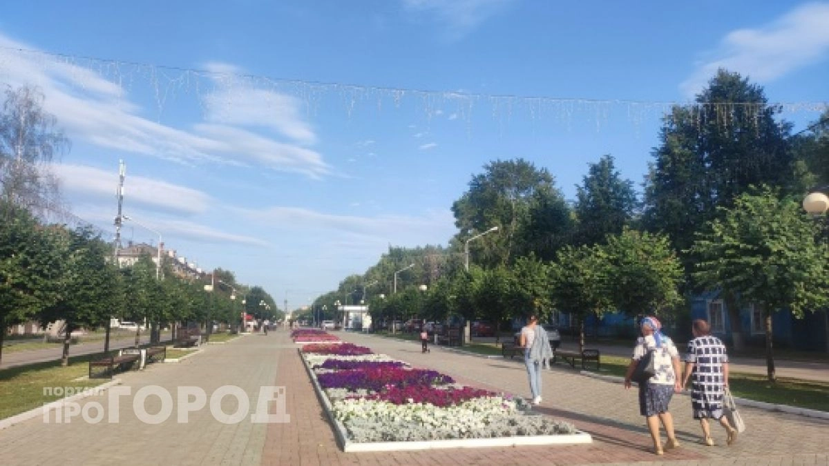 Новое колесо обозрения появилось в Центральном парке Йошкар-Олы