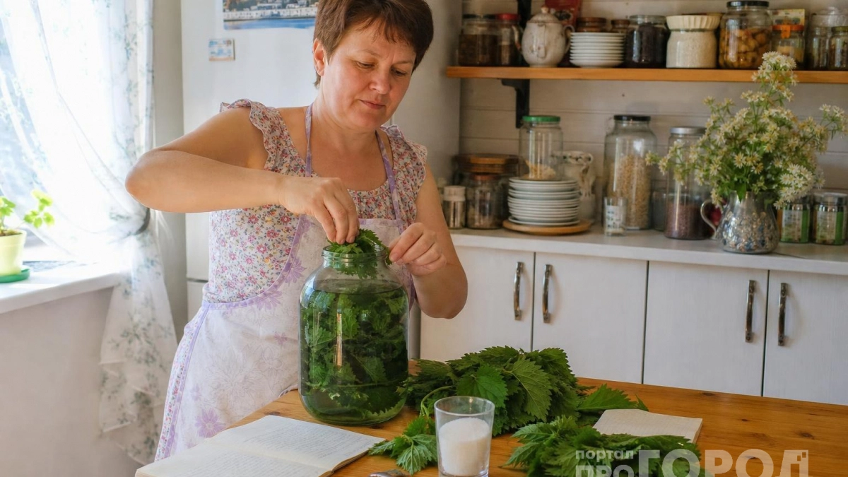 Квас из крапивы без дрожжей: старый деревенский рецепт, который снова вошёл в моду