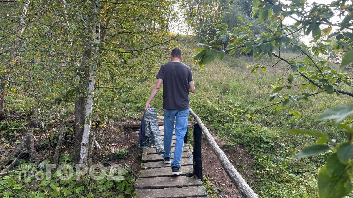 Жители Марий Эл стали в полтора раза чаще заражаться мышиной лихорадкой