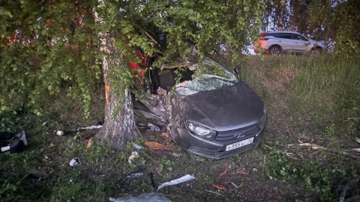 Потерял управление и врезался в дерево: два человека погибли на дороге в Волжском районе