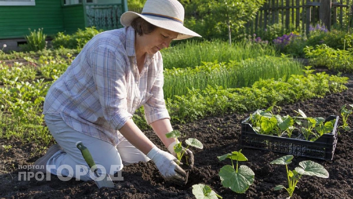 Лучше бы вообще не сажал: 8 растений на даче, с которыми проще не связываться