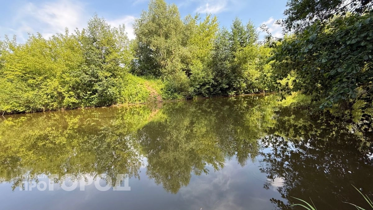 Реку Ронга закрыли для купания из-за опасных бактерий