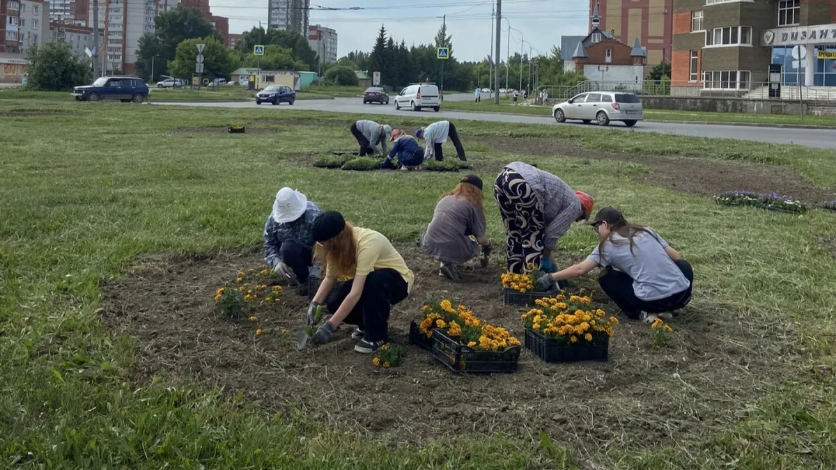 В Йошкар-Оле зацвели разворотные кольца