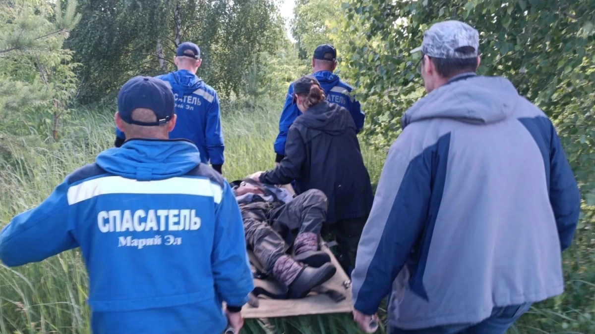 В Звениговском районе 77-летняя женщина заблудилась в лесу: искали трое суток