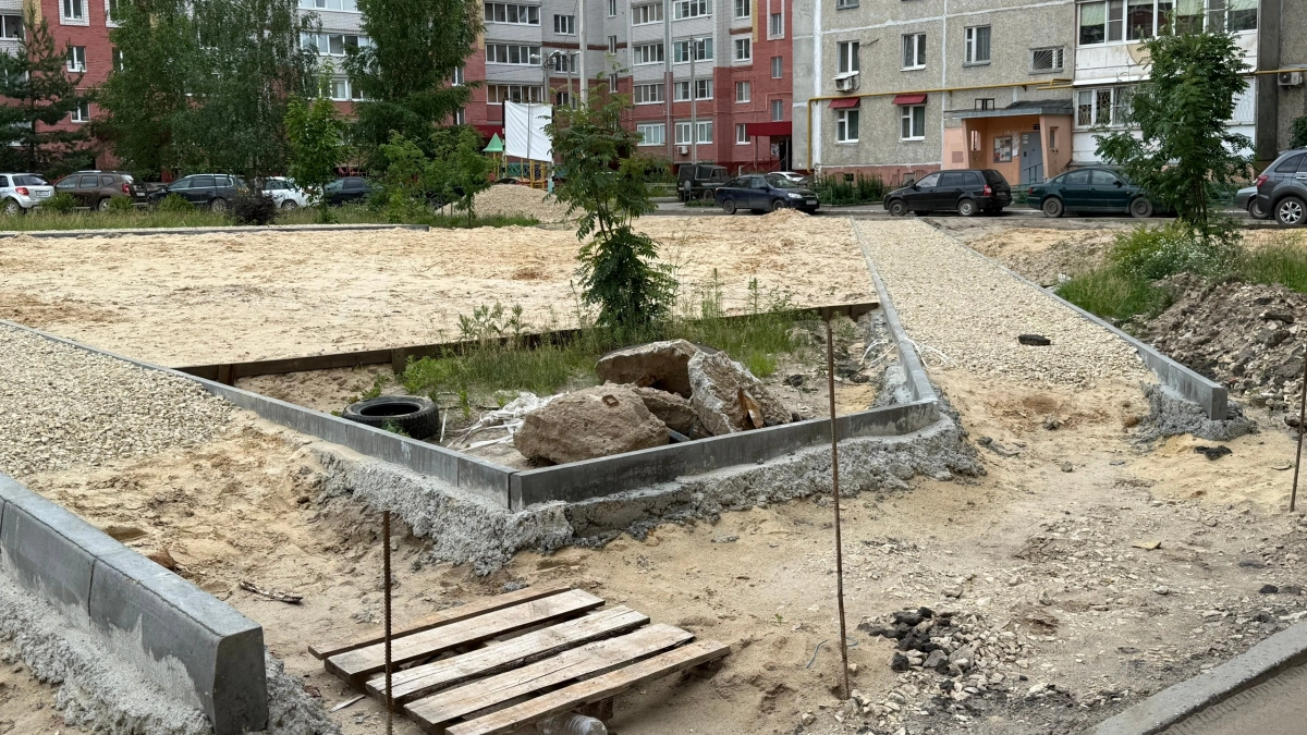 В пешеходной зоне в Йошкар-Оле появятся 12 клёнов и 5 голубых елей